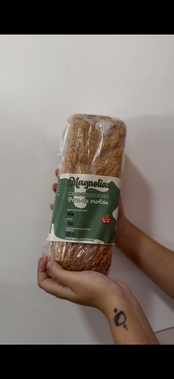 WhatsApp Image 2026-01-28 at 16.33.38